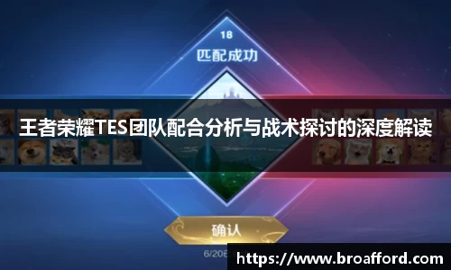 王者荣耀TES团队配合分析与战术探讨的深度解读